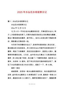 2025年水仙花水培視察日記