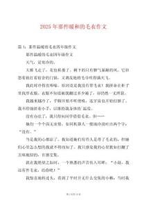 2025年那件暖和的毛衣作文
