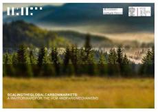 【推薦】The Global City：2025年擴(kuò)大全球碳市場(chǎng)報(bào)告（英文版）