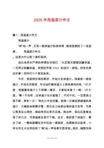2025年甩温度计作文