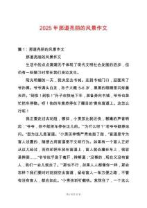 2025年那道亮麗的風景作文