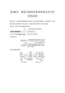 2026高中生物練習(xí)（含解析）第2單元  第13講　捕獲光能的色素和結(jié)構(gòu)及光合作用的原理