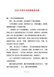 2025年雞年央視春晚觀后感