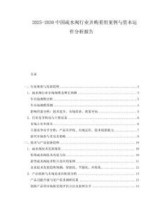 2025-2030中國疏水閥行業并購重組案例與資本運作分析報告