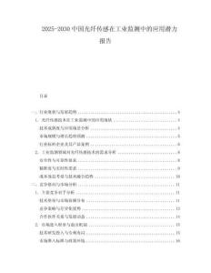 2025-2030中國光纖傳感在工業(yè)監(jiān)測中的應(yīng)用潛力報告