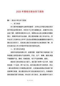 2025年高校生財會實習報告
