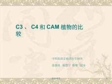 C3植物、C4植物和CAM植物的比較