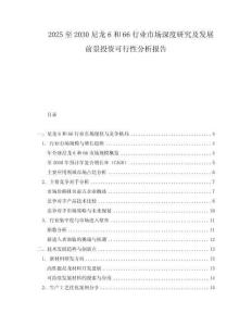2025至2030尼龍6和66行業市場深度研究及發展前景投資可行性分析報告