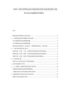 2025-2030跨境電商市場發展分析及前景趨勢與海外倉布局戰略研究報告