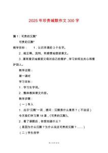 2025年珍貴緘默作文300字