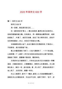 2025年瑣作文600字