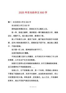 2025年目光的作文650字