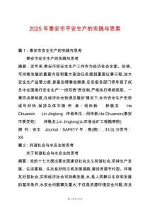 2025年泰安市平安生產(chǎn)的實踐與思索
