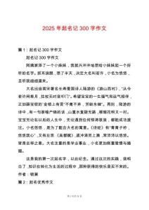 2025年起名記300字作文