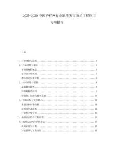 2025-2030中國護(hù)欄網(wǎng)行業(yè)地質(zhì)災(zāi)害防治工程應(yīng)用專項(xiàng)報(bào)告