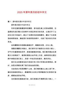 2025年那年那月的初中作文