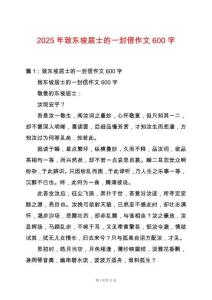 2025年致東坡居士的一封信作文600字