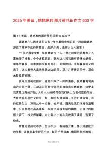 2025年美哉，姥姥家的那片荷花田作文600字