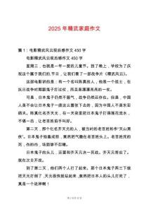 2025年精武家庭作文