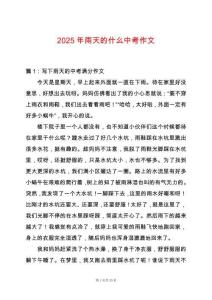 2025年雨天的什么中考作文