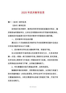 2025年武術(shù)教學(xué)反思