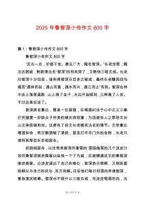 2025年魯智深小傳作文800字