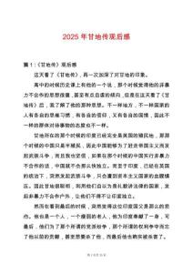 2025年甘地傳觀后感