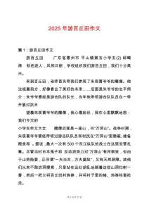 2025年游百丘田作文