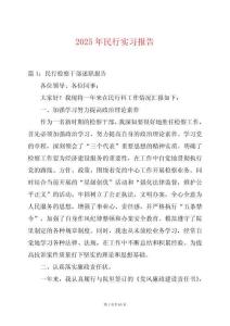 2025年民行實習報告