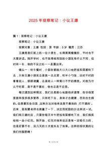 2025年視察筆記：小議王康