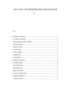 2025-2030中國注塑成型液壓閥門壽命延長技術報告