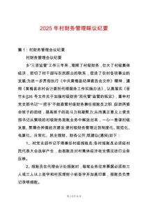 2025年村財(cái)務(wù)管理睬議紀(jì)要