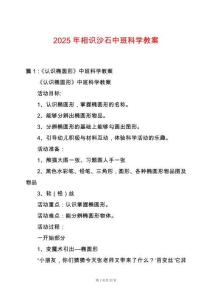 2025年相識沙石中班科學教案