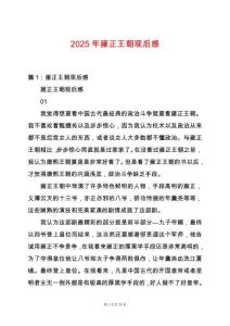 2025年雍正王朝觀后感