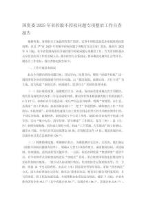 國資委2025年省控股不控權問題專項整治工作自查報告