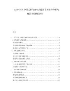 2025-2030中國天然氣分布式能源市場潛力分析與投資風險評估報告