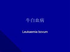 牛白血病