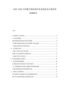 2025-2030中國數字版權保護技術演進及市場價值挖掘報告