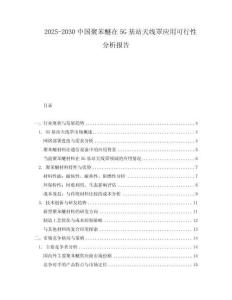 2025-2030中國聚苯醚在5G基站天線罩應用可行性分析報告