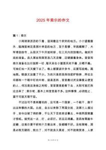 2025年索爾的作文