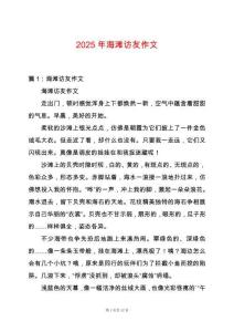 2025年海灘訪友作文