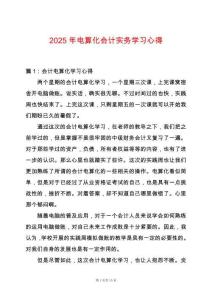 2025年電算化會(huì)計(jì)實(shí)務(wù)學(xué)習(xí)心得