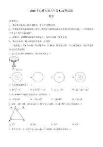 內(nèi)蒙古赤峰市巴林左旗2024-2025學(xué)年九年級(jí)下學(xué)期模擬檢測數(shù)學(xué)試題（含答案）