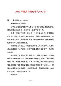 2025年驀然回首的作文800字