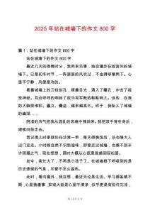 2025年站在城墻下的作文800字