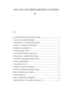 2025-2030衛(wèi)星互聯(lián)網(wǎng)星座建設進度與應用場景拓展