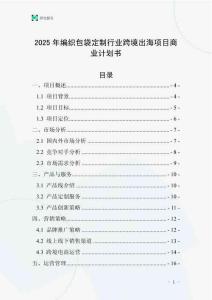 2025年編織包袋定制行業(yè)跨境出海項目商業(yè)計劃書