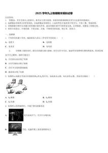 2025屆安徽省安慶市宿松縣物理九上期末統考試題含解析
