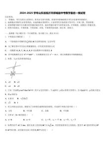 2024-2025學年山東省臨沂市郯城縣中考數學最后一模試卷含解析