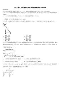 2025屆廣西壯族南寧市武鳴縣中考押題數學預測卷含解析